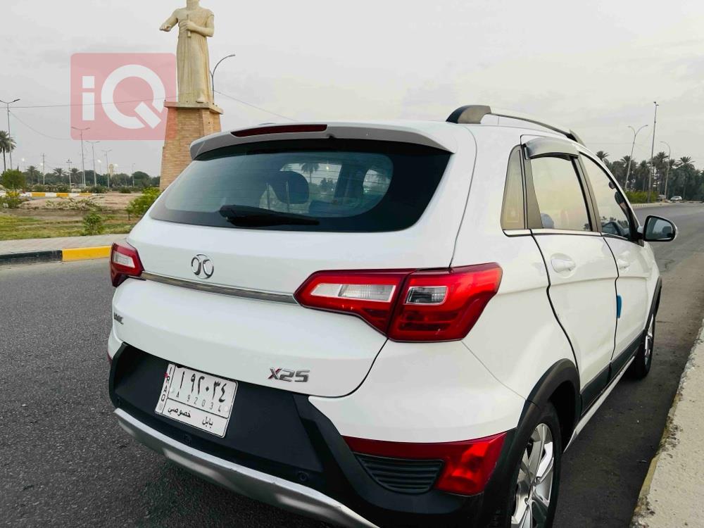 BAIC X25